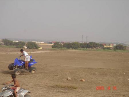 Paloma 2005